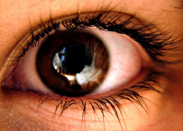Close-up of a brown eye.