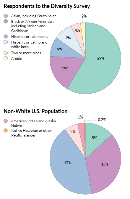 survey-ethnicities