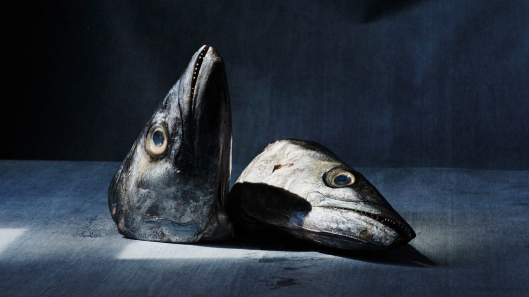 The heads of two fish, one of them standing upright, the other resting on its side, on a grayish blue background.