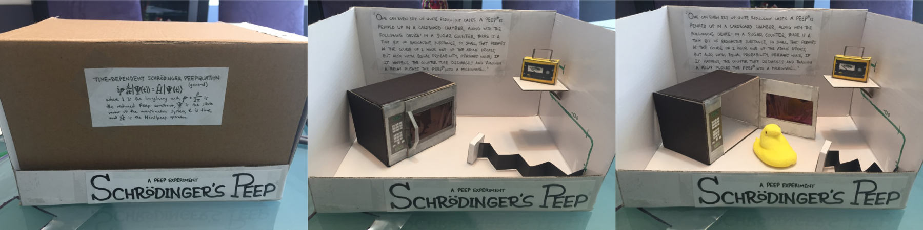 Schrödinger's Peep