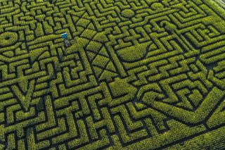 Aerial view of a corn maze full of geometric shapes.