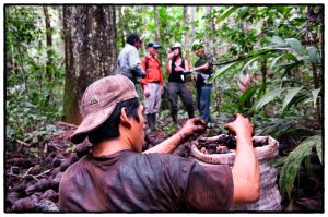 A man collects nuts into a large sack, his back to the camera. Four researchers talk in the background.