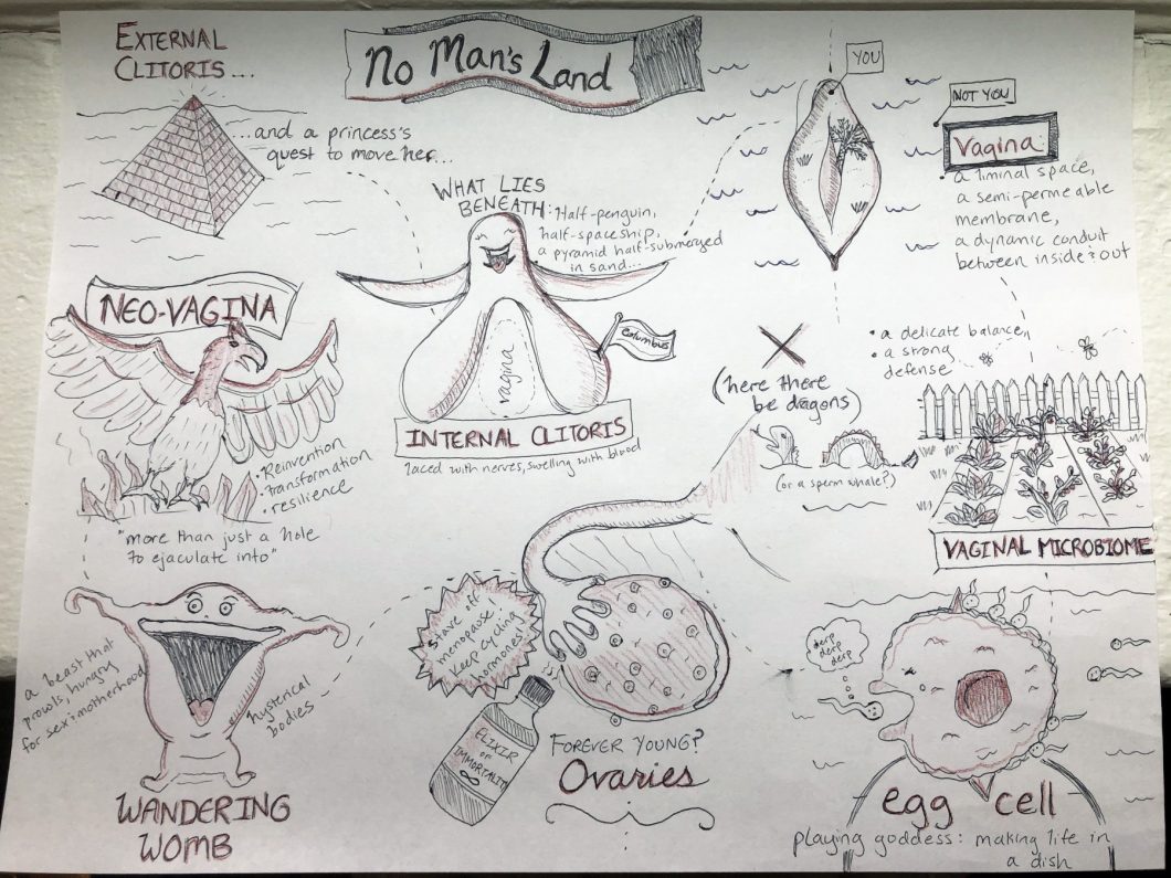 A page of about 10 hand-drawn sketches with labels such as NEO-VAGINA and WANDERING WOMB and OVARIES. A banner at the top reads NO MAN'S LAND.