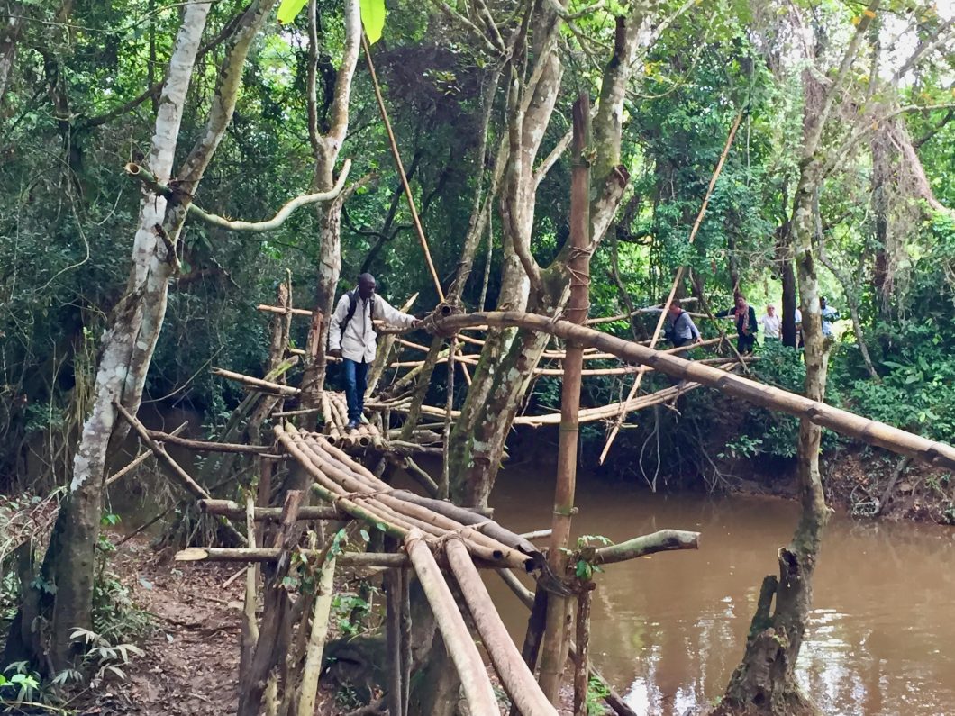 A man crossing a narrow log bridge in a forest.