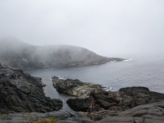 A view of a rocky coastline on a foggy day.