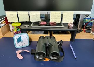 A closeup of Ari's desk shows inspirational quotes on sticky notes, a timer, binoculars, a purple pen, and a pink plastic bird.