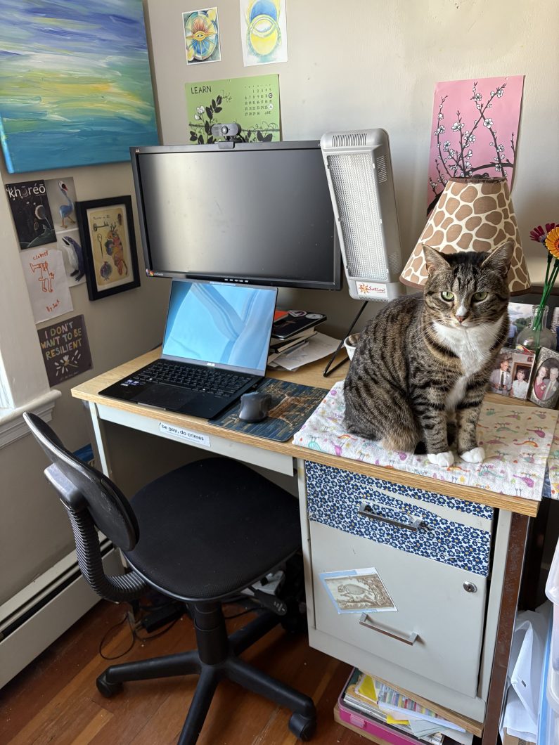 A desk in the corner of a room, with a computer, light therapy lamp, desk lamp, and small framed photos on it. A pretty tabby cat who appears to be a very good and not chaotic cat sits on a folded blanket on the corner of the desk. Various pieces of artwork are displayed on the walls behind and beside the desk.