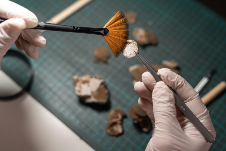Close-up of person using a fan-like brush during restoration of ancient coins.