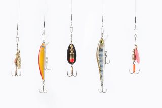 Five colorful fish hooks on a white background.