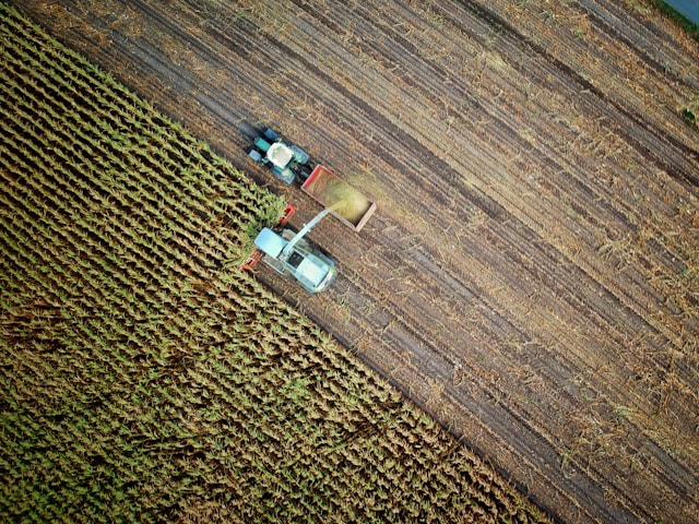 Aerial view of two trucks harvesting crops on a field